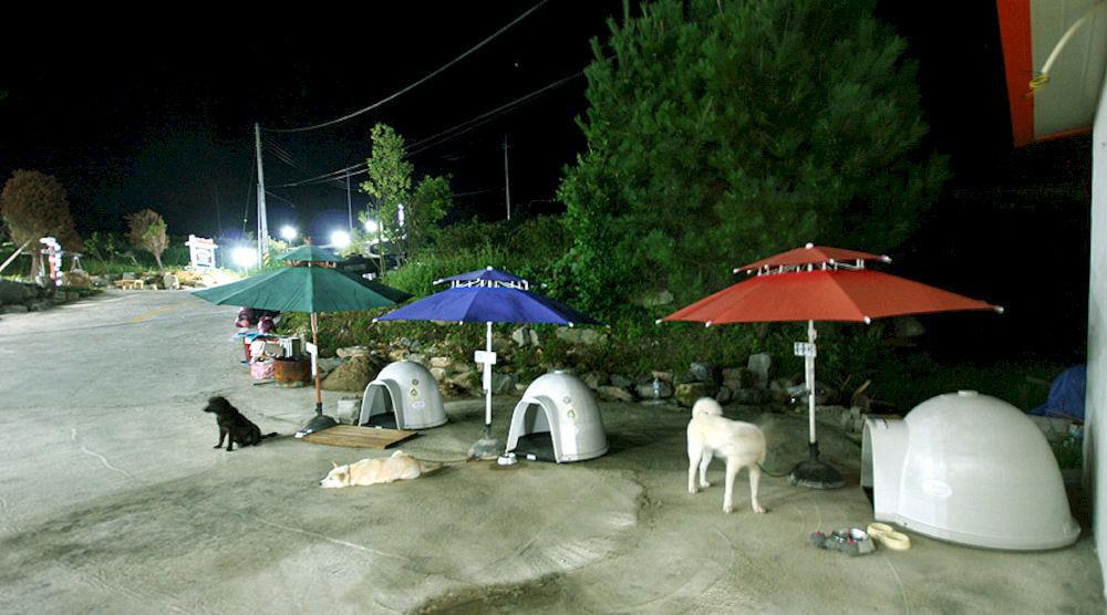 Ever Green Pension Geoje Bagian luar foto